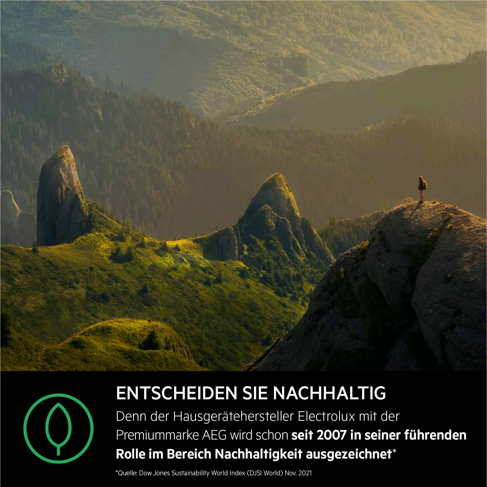 AEG Waschmaschine Serie 6000 mit ProSense-Technologie L6FA68FL, 8 kg, 1600 U/min