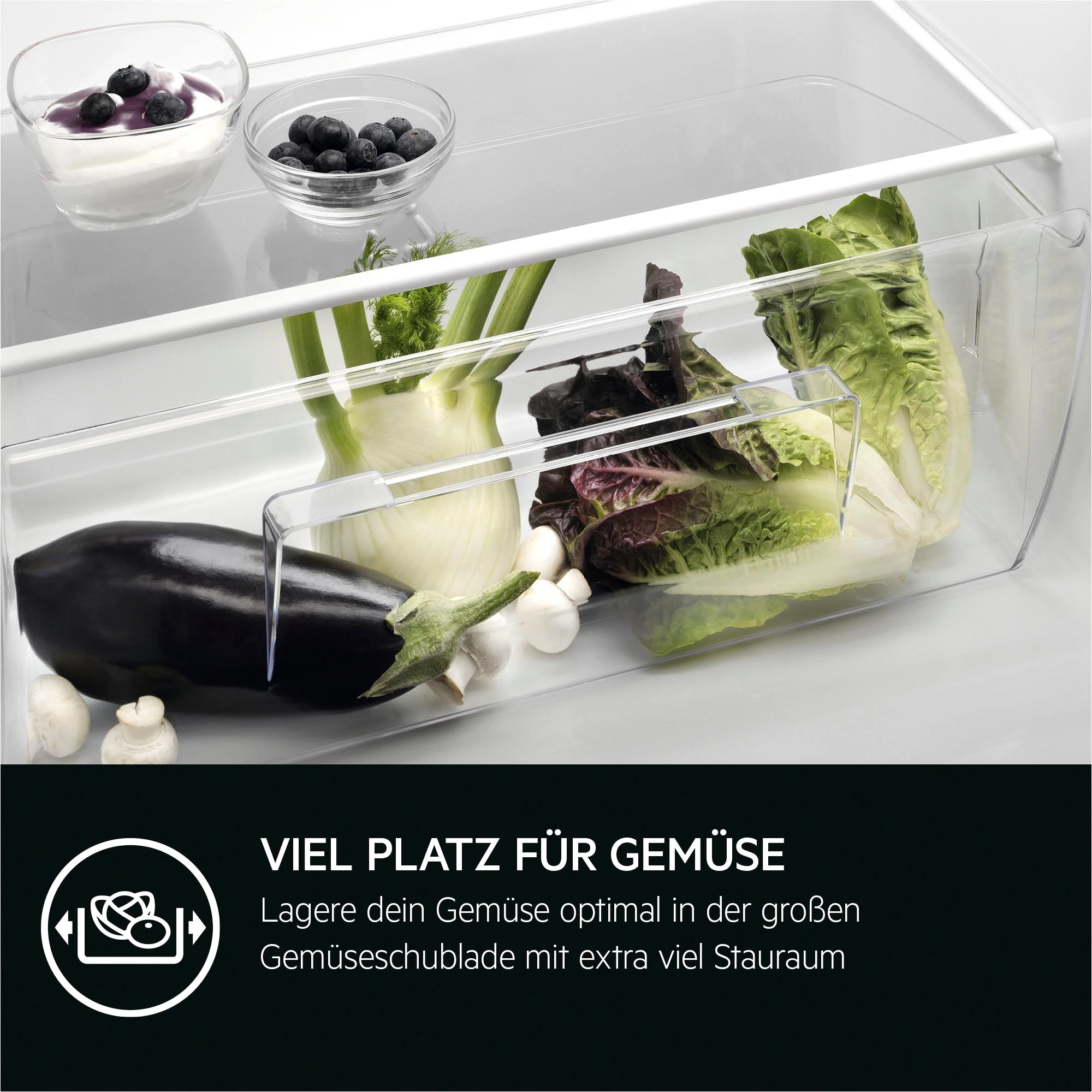 AEG Einbaukühlschrank Serie 5000 TSK5O88WDF, 87,3 cm hoch, 55,6 cm breit, 203 L